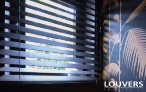 Horizontale lamellen Louvers Brussel